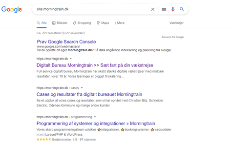 Screenshot af Google søgning