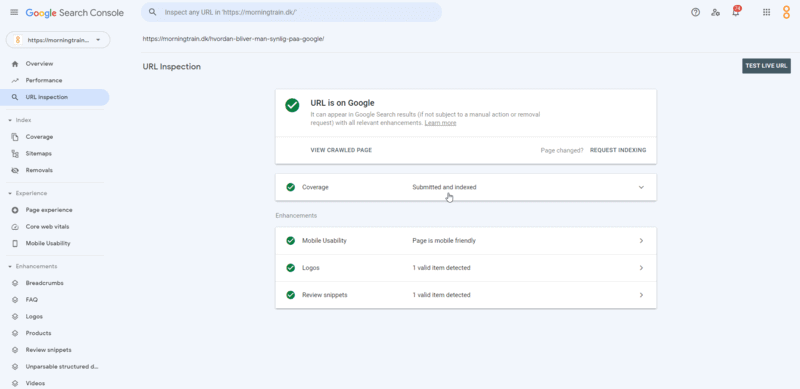 Screenshot fra Google Search Console