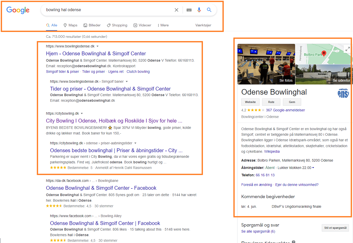 Eksempel på Google søgning og dennes inddeling